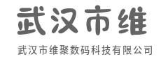 云端漫步，数据有了温柔的落脚点-武汉市维聚数码科技有限公司